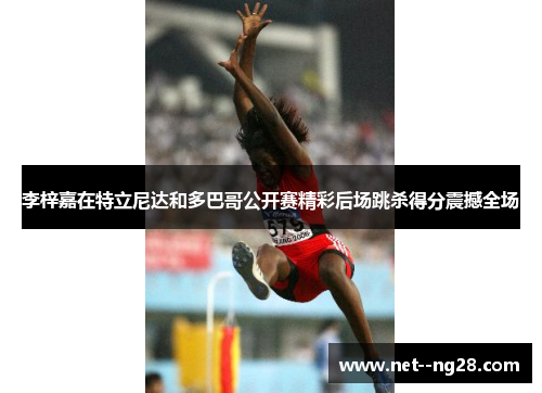 李梓嘉在特立尼达和多巴哥公开赛精彩后场跳杀得分震撼全场 李梓嘉在特立尼达和多巴哥公开赛精彩后场跳杀得分震撼全场