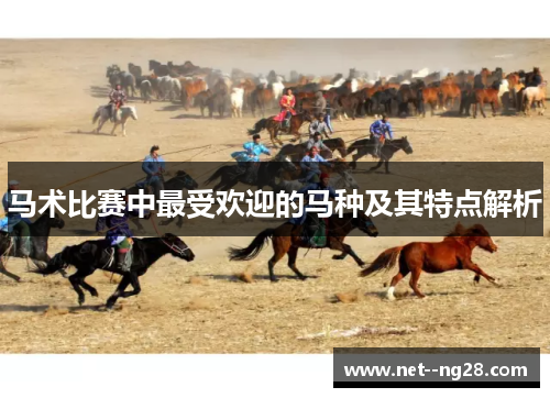 马术比赛中最受欢迎的马种及其特点解析