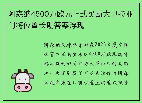 阿森纳4500万欧元正式买断大卫拉亚门将位置长期答案浮现