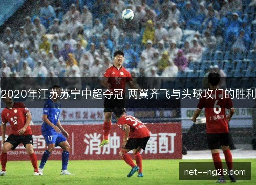 2020年江苏苏宁中超夺冠 两翼齐飞与头球攻门的胜利 2020年江苏苏宁中超夺冠 两翼齐飞与头球攻门的胜利