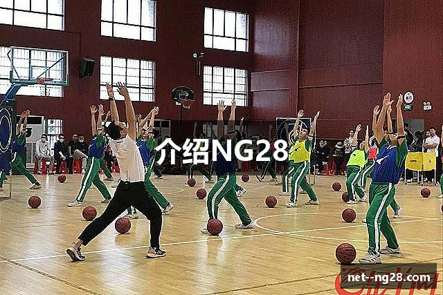 介绍NG28